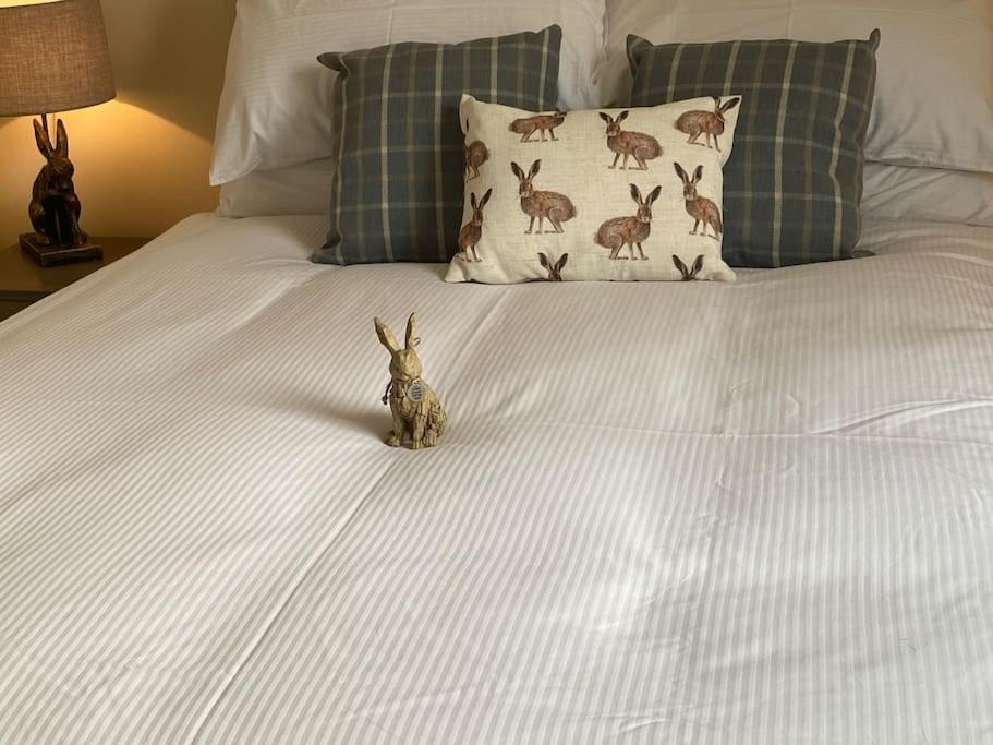 The Burrow, Langholm, Dumfries And Galloway ภายนอก รูปภาพ